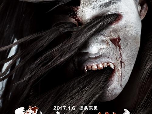 学历认证报告查询码